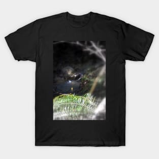 snowy Oregon forest, Fox Creek 3 T-Shirt